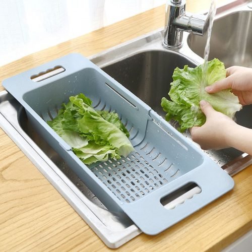 vegetable sink toy